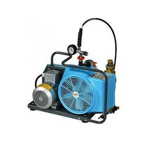 电动充气泵 霍尼韦尔BC163099B-T JII-E-H 高压气瓶充气泵